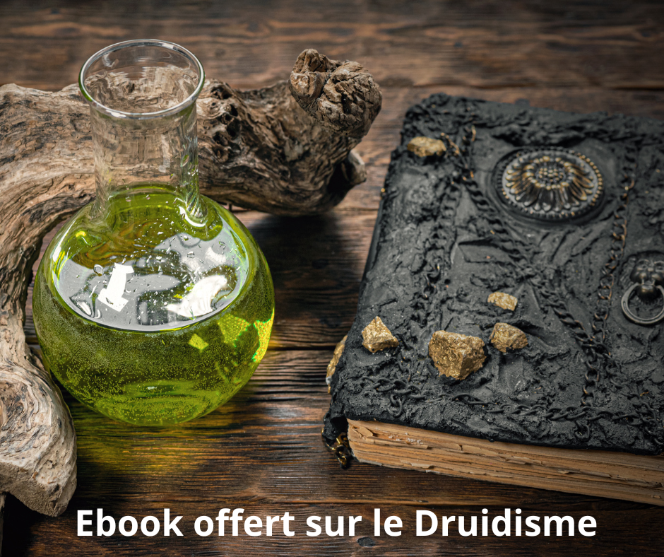 Le défi magique (4)