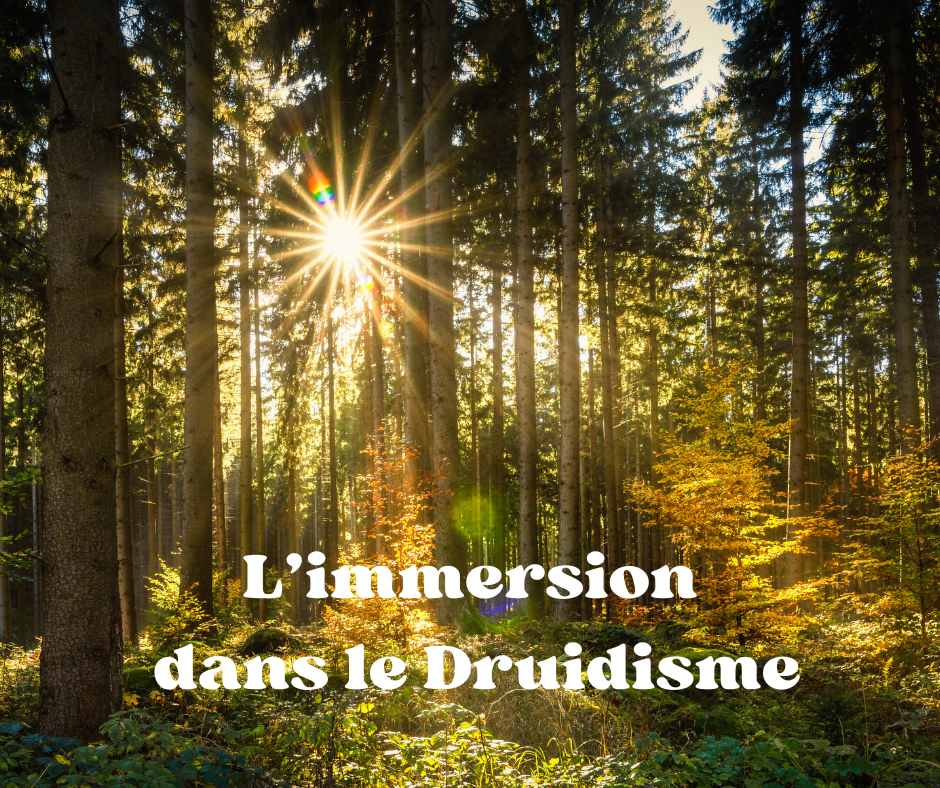 Le défi magique (6)